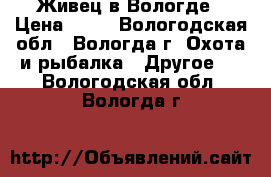 Живец в Вологде › Цена ­ 10 - Вологодская обл., Вологда г. Охота и рыбалка » Другое   . Вологодская обл.,Вологда г.